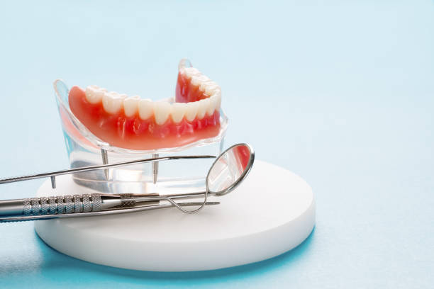Best Traditional Braces  in Palm Bay, FL